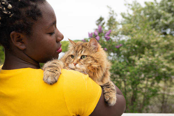 Cats are said to be more independent and require less attention than dogs. Photo/Net