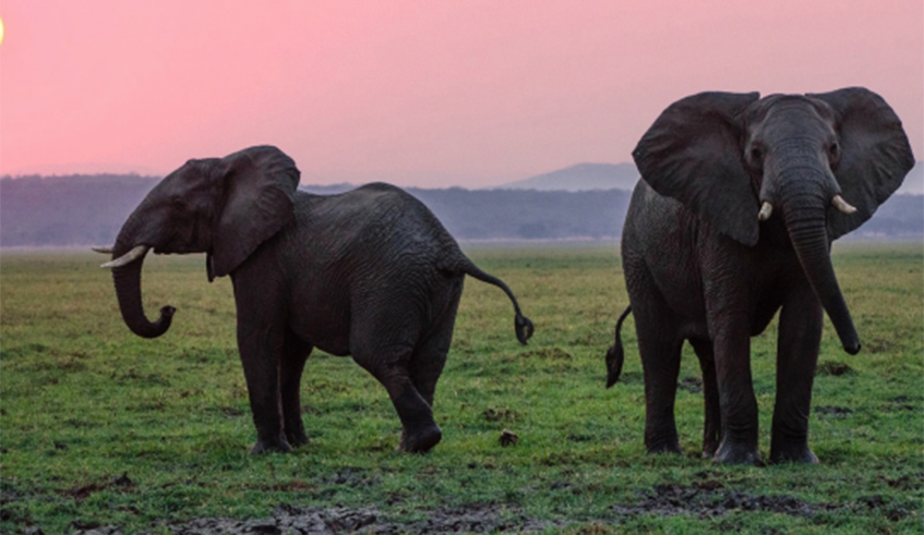 Itu2019s time for a better future on a healthy planet for the prosperity of all. Net photo