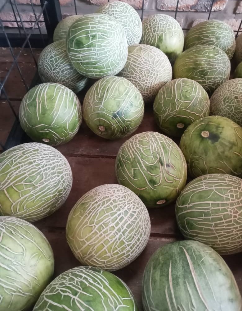 Seedless watermelon can be found in local markets.u00a0Photo by Lydia Atieno.