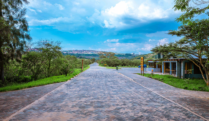 A view of the landscape and infrastructure inside Nyandungu Urban Wetland Eco-Tourism Park. (INSET) Some of the birds frequently seen at the park, including; Malachite Kingfishers, Pied Kingfisher, Yellow-billed Kite, Hamerkop, Little Bee-eater, Black-headed Weaver, African Fish Eagle, and Black-headed Heron. / Photos: Will Wilson/Courtesy.