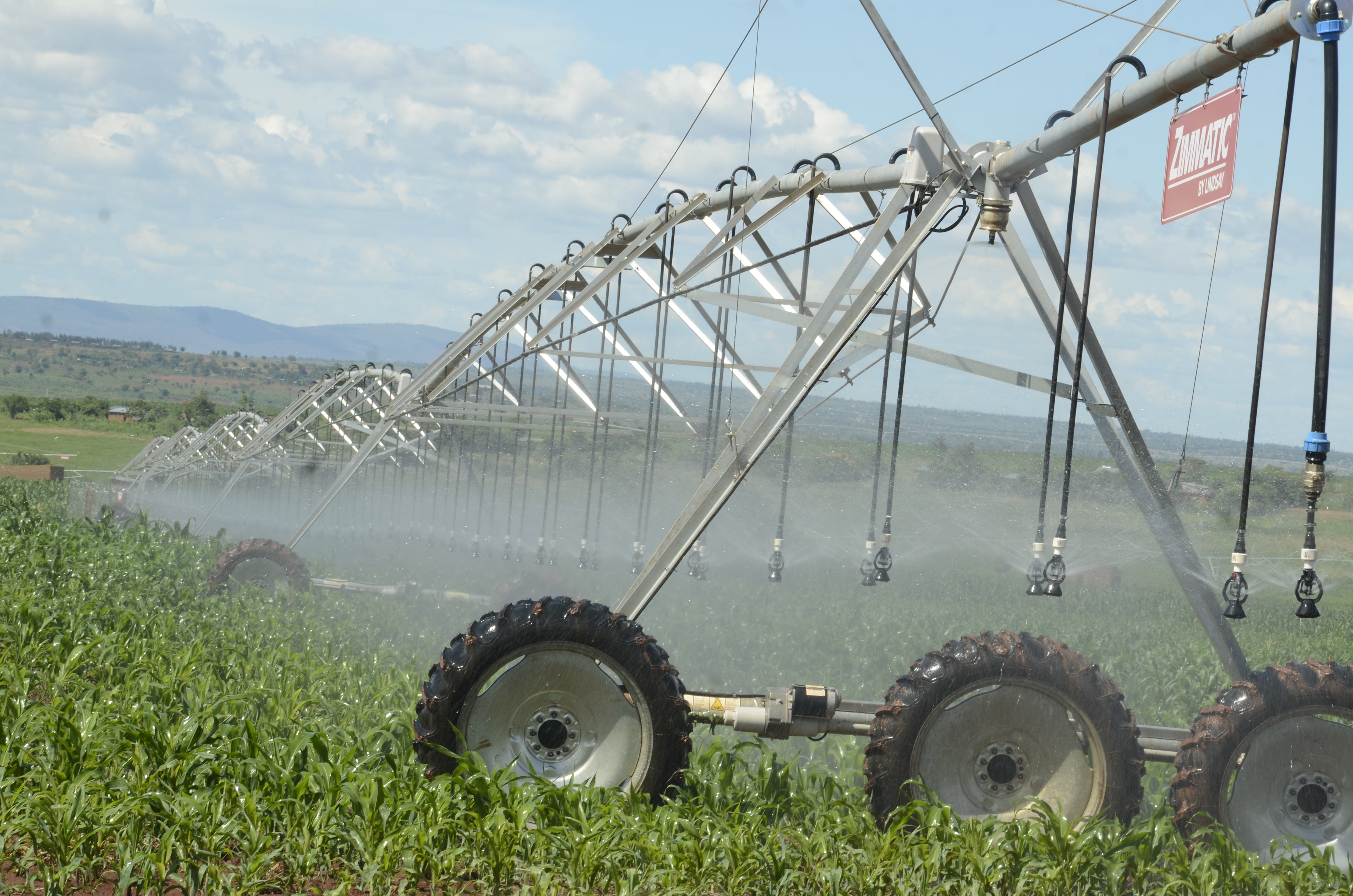 An irrigation system in Kirehe District. You must apply for water use permits to irrigate an area of more than one hectare. Photo: File.