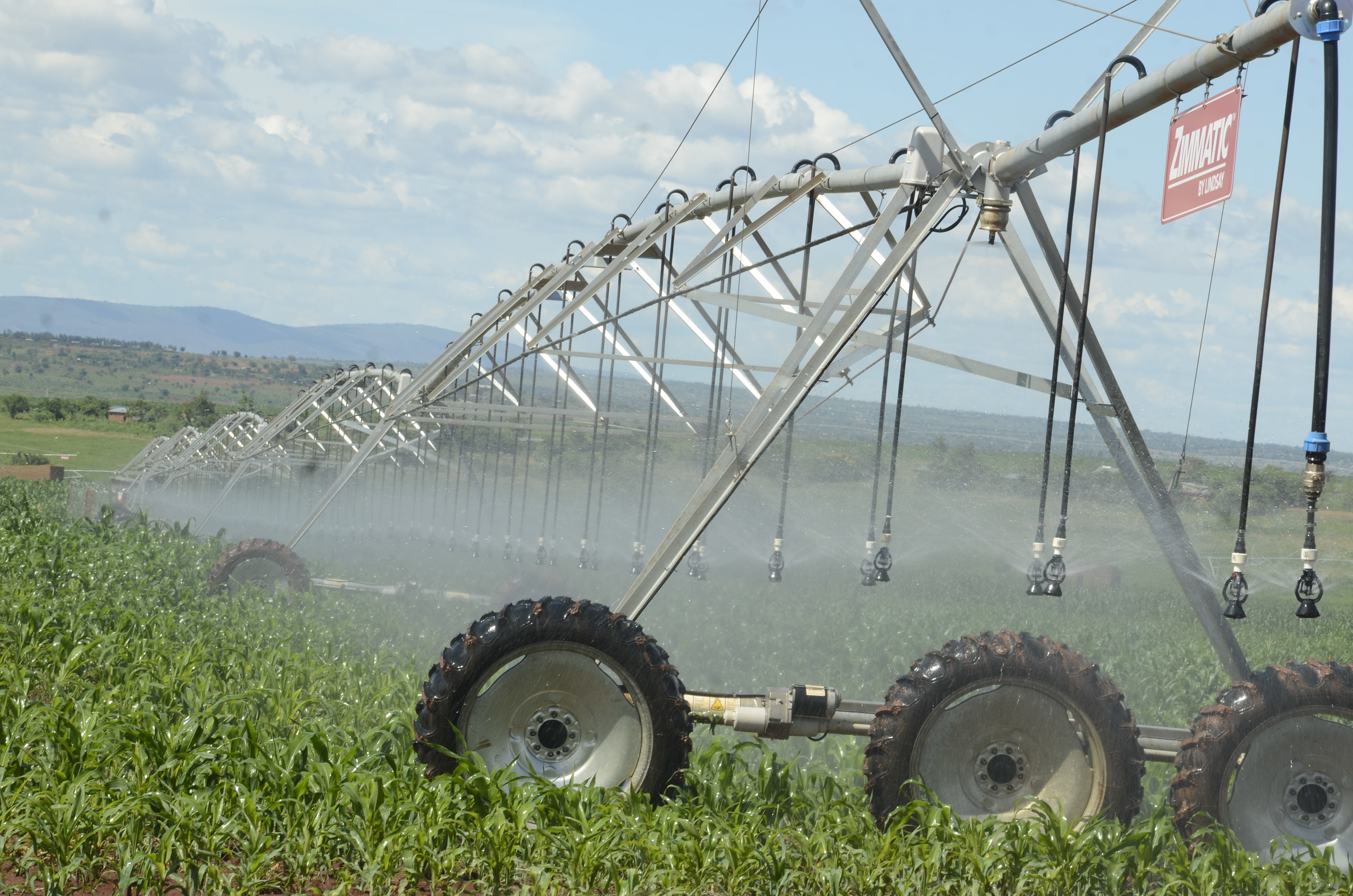 An irrigation system in Kirehe District. You must apply for water use permits to irrigate an area of more than one hectare. Photo: File.