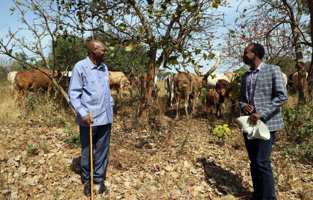 Senate President, Augustin Iyamuremye (L) chats with Birasa Nyamulinda, Chief Executive Officer of Gako Meat Company Ltd at the project site in Bugesera District, Thursday, July 14, 2022. 