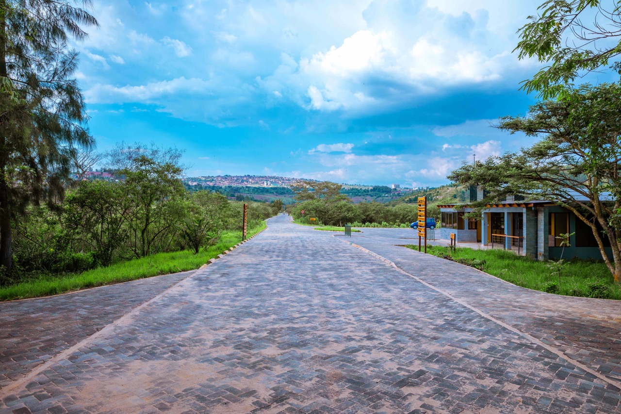 Nyandungu Wetland Eco Tourism park boasts of walkways and cycling lanes stretching for over eight kilometres to better explore the beauty of this protected space. 