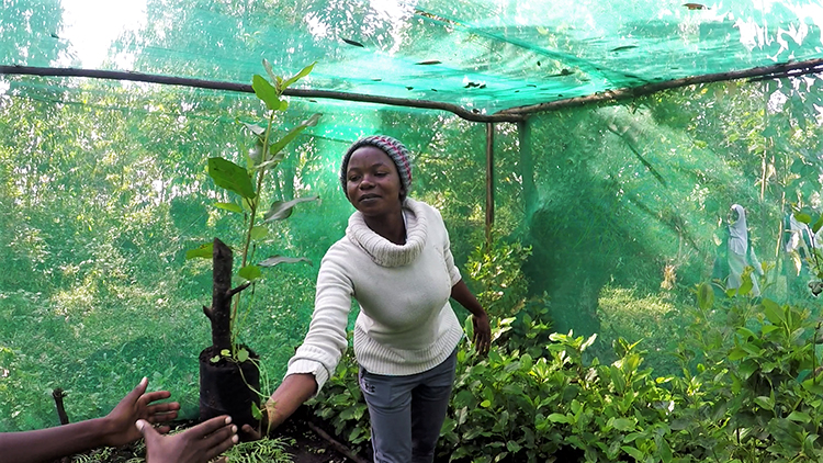With a conservation message, Nature Rwanda engaged the local community in planting trees in buffer area.
