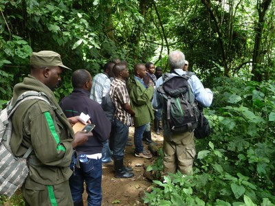 Researchers tour Cyamudongo forest, a small fragmented forest of only 19 km2 of Nyungwe national park. 